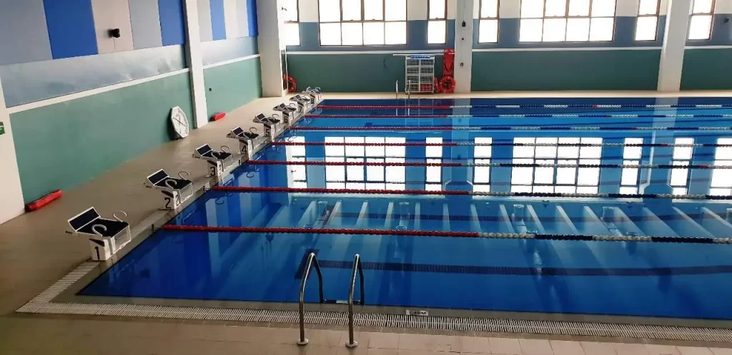 Exploring the top pool accessories suppliers in the UAE